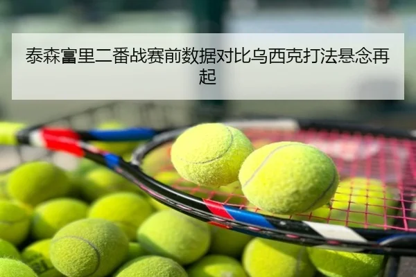 泰森富里二番战赛前数据对比乌西克打法悬念再起